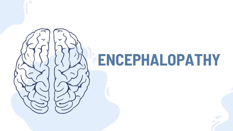 Εισαγωγή στις αναπτυξιακές και επιληπτικές εγκεφαλοπάθειες open023